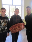 Благодійна акція "П'ять картоплин"