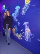 Цибульська Вікторія Дмитрівна