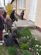 День довкілля