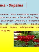 Акція "Посади калину - відроди Українгу"