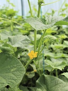 Моє майбутнє в Агро 2021-2022 н.р.