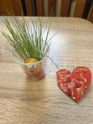 "Город на підвіконні", середня група №1