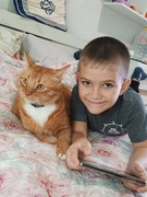 Всесвітній день тварин