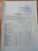 Кошторис на  2017  рік
