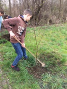 Всеукраїнська акція «Посади дерево»