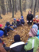 Екологічний тиждень в початкових класах. Ігри в лісі.