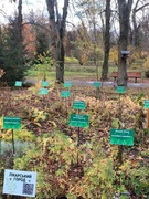 Екскурсія 2025