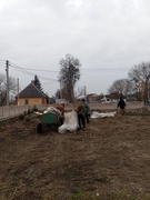 Екологічна акція - висадка ялинок