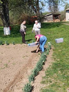 екочелендж