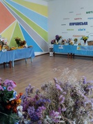 День миру