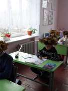 Мовою математики про ліс