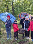 День лісових відкриттів