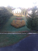 Підсумок трудової акції " Парад квітів біля школи"