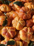 СВЯТО ГАРБУЗА ТА ДЕНЬ ОСЕНІ 2025