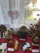 Квітковий вернісаж 2025