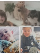 Всесвітній День захисту тварин