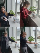 СМІЛИВА ГРИВНЯ"