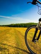 Обласні змагання з велосипедного туризму 2025