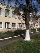Толока