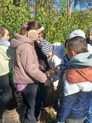 Акція: "За чисте довкілля"