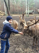 Екскурсія в с.Явне,  до вольєру плямистих оленів