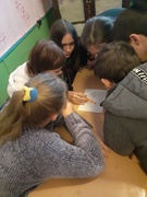 Міжнародний день прав людини