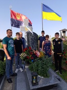 29.08