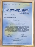 Об'єднані наставництвом