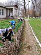 АКЦІЯ "За чисте довкілля"