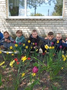Квіти Перемоги у нашій школі!   Flowers4School