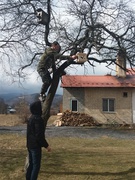 Акція "Допоможемо пернатим"