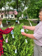 Янголята