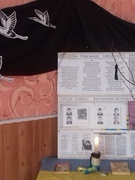 Болить в душі моїй Чорнобиль