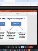Імунітет та імунопрофілактика