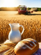 Всесвітній день хліба