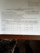 Звіт про надходження та використання коштів за І півріччя 2025 р.(0611031)