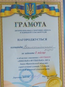 Ще одна спортивна нагорода у заліку наших ліцеїстів
