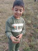 День фізичної культури