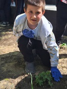 Акція "За чисте довкілля"