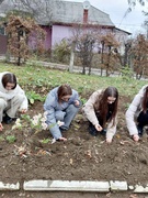 "Квітковий рай біля кожного освітнього закладу"