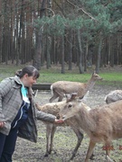 Журавська Олена Валеріївна