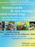 Фоточелендж до Всесвітнього Дня захисту тварин