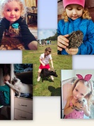 Тварини — це не іграшки