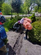 День захисту рослин