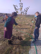 Акція "Посади дерево"