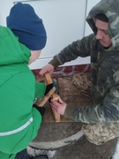 "День зустрічі птахів"