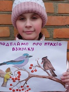 Всеукраїнська природоохоронна акція "Годівничка"