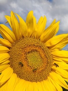 Роботи наших юних фотоаматорів до фотоконкурсу "Моя Україна"