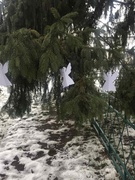 Вшанування пам’яті жертв Голодомору – геноциду Українського народу
