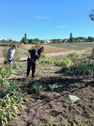 День прибирання